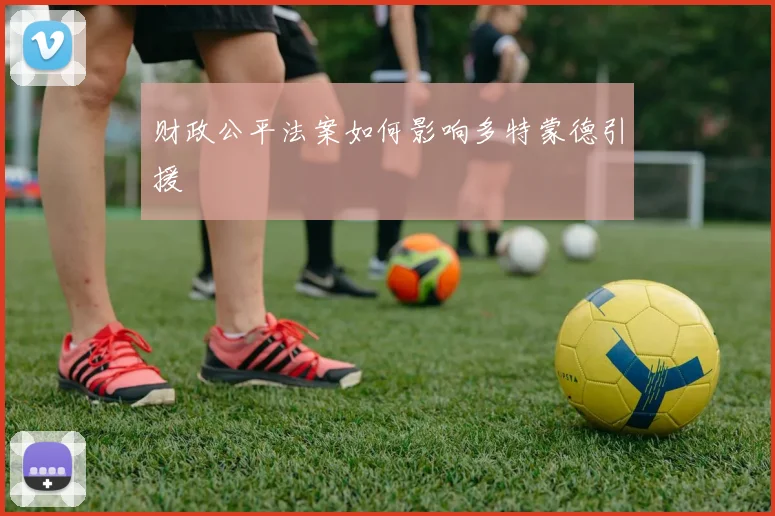 财政公平法案如何影响多特蒙德引援
