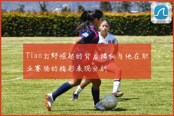 Tian打野崛起的背后揭秘与他在职业赛场的精彩表现分析