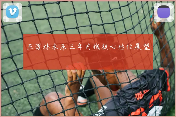 王哲林未来三年内线核心地位展望