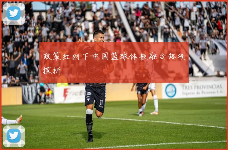 政策红利下中国篮球体教融合路径探析